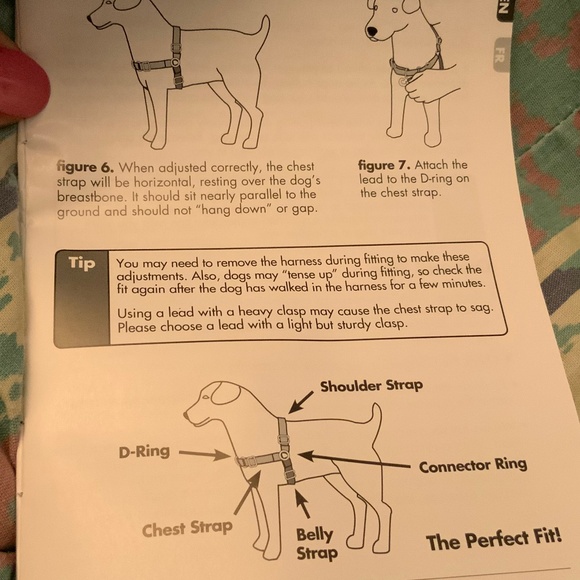 PetSafe Easy Walk Adjustable Nylon Harness and Lead (Small-Red) - Picture 3 of 9